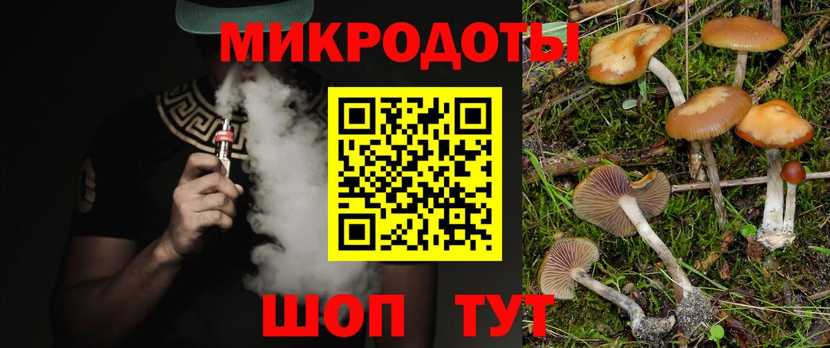 Южноуральск  Псилоцибиновые грибы Psilocybine cubensis  Псилоцибиновые грибы Psilocybe  Вход с VPN 
