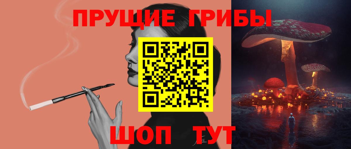 Псилоцибиновые грибы Psilocybine cubensis Южноуральск